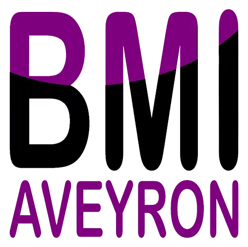 logo bmi